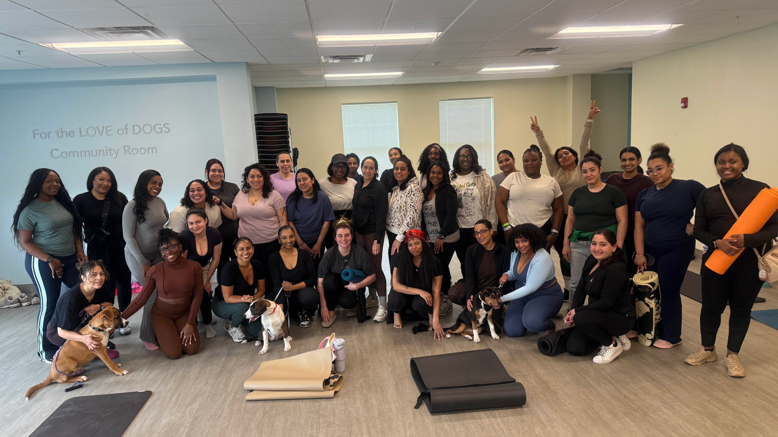 Dog yoga class with Club West in Westchester